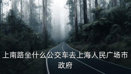 上南路坐什么公交車去上海人民廣場市政府