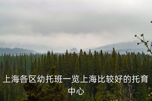 上海各區幼托班一覽上海比較好的托育中心