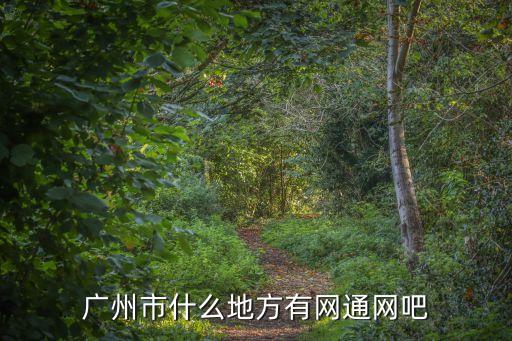廣州市什么地方有網(wǎng)通網(wǎng)吧