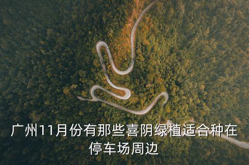 廣州綠植問題咨詢，廣州市綠化狀況