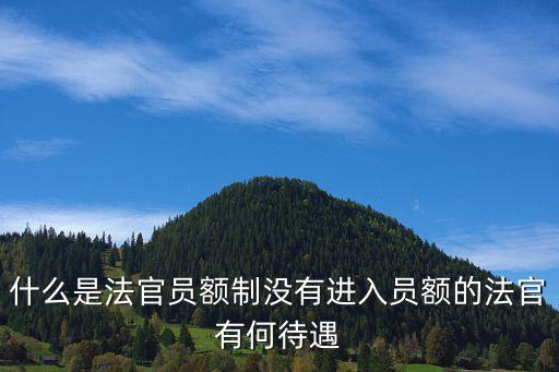 上海市員額制改革成效，什么是法官員額制沒有進入員額的法官有何待遇