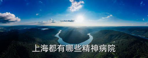 上海市有哪些神經(jīng)醫(yī)院，上海的神經(jīng)病醫(yī)院有幾個