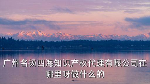 廣州名揚四海知識產權代理有限公司在哪里呀做什么的
