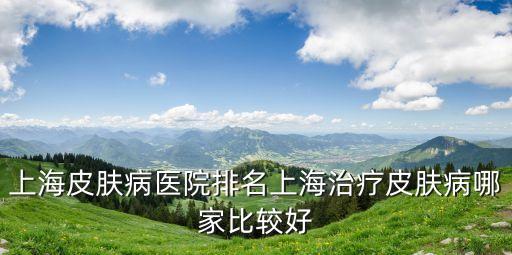上海市三甲醫院排名皮膚科排名，上海皮膚病醫院排名上海治療皮膚病哪家比較好