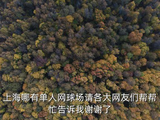 上海市內單人網球，上海哪有網球場