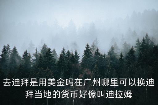 廣州哪里換迪拉姆，導游說換美金就可以了真的不用換迪拉姆嗎廣州哪里可以換