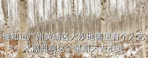 藝術(shù)照小男生廣州，想幫孩子照藝術(shù)照 廣州哪家比較好的