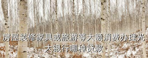 房屋裝修家具或旅游等大額消費辦理光大銀行哪種貸款