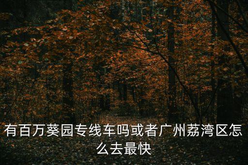 有百萬葵園專線車嗎或者廣州荔灣區怎么去最快