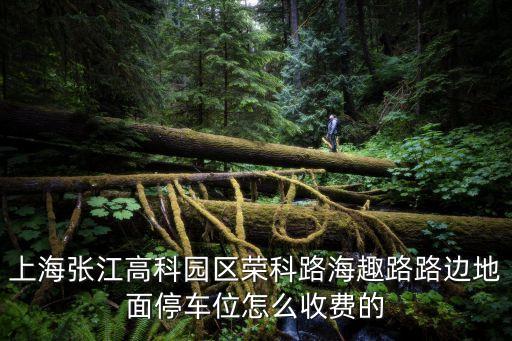 上海市張江停車費，上海張江高科園區榮科路海趣路路邊地面停車位怎么收費的