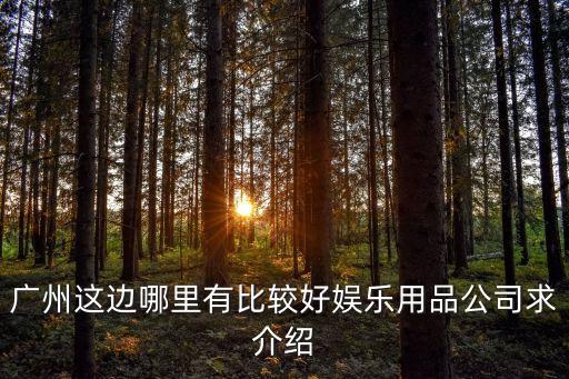 廣州這邊哪里有比較好娛樂用品公司求介紹