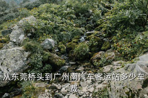從東莞橋頭到廣州南汽車客運站多少車費