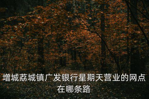 廣州增城府前路36號(hào)，增城荔城鎮(zhèn)廣發(fā)銀行星期天營(yíng)業(yè)的網(wǎng)點(diǎn)在哪條路