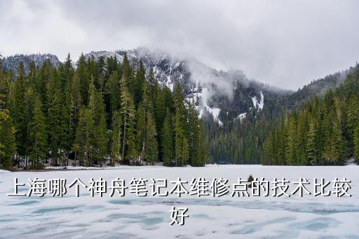 電腦神舟臺式上海市哪里有維修，上海有沒有修臺式機(jī)主板的維修站啊如果有麻煩請告知地址