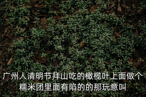 廣州永勝蚩誆聳諧，廣州越秀中山紀(jì)念堂后面的山叫什么名啊上面 有個叫廣州第一樓鎮(zhèn)