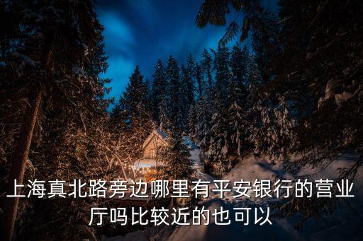 平安銀行 上海市分行營業(yè)部，請問上海的平安銀行信用卡中心地址是什么