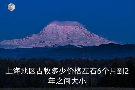 上海地區(qū)古牧多少價格左右6個月到2年之間大小