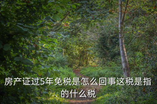 廣州證滿5年免稅嗎，房產證過5年免稅是怎么回事這稅是指的什么稅