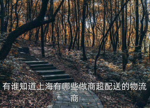 上海市內配送物流，上海市內小件速運的物流有哪些急需