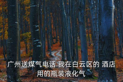 廣州送煤氣電話 我在白云區(qū)的 酒店用的瓶裝液化氣