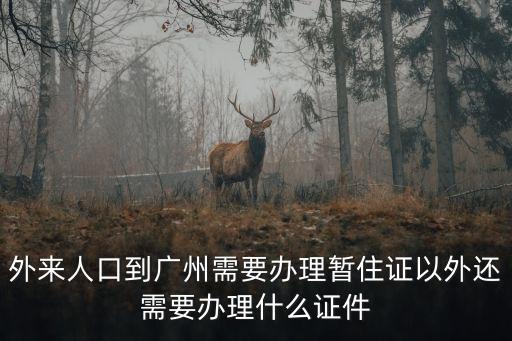 外來人口到廣州需要辦理暫住證以外還需要辦理什么證件