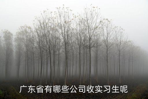 廣州有哪些外貿公司招實習生，暑假廣東有招聘外貿實習的外貿企業嗎
