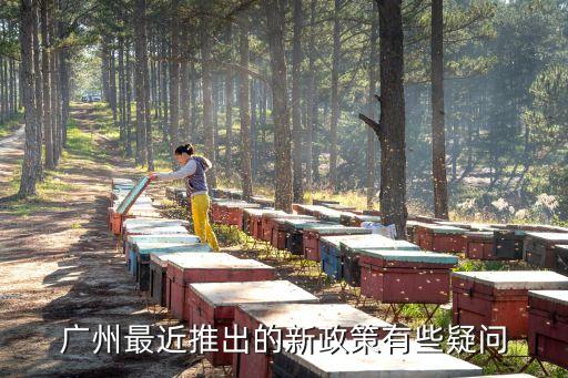 廣州最近推出的新政策有些疑問