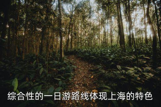 上海市綜合性節(jié)點，綜合性的一日游路線體現(xiàn)上海的特色