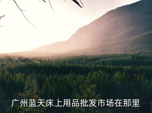 廣州藍天市場搬到哪里，廣州藍天電器城