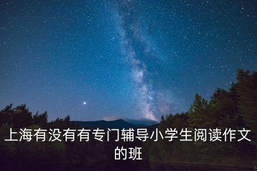 上海有沒有有專門輔導小學生閱讀作文的班
