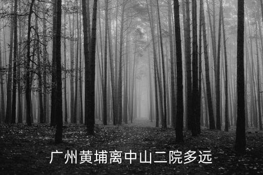 廣州黃埔離中山二院多遠