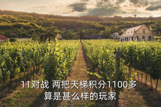 11對戰 兩把天梯積分1100多 算是甚么樣的玩家