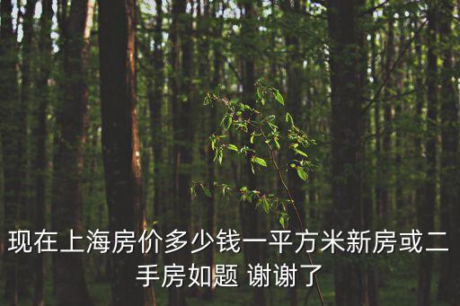 上海市二手房平均房價多少，現在上海房價多少錢一平方米新房或二手房如題 謝謝了