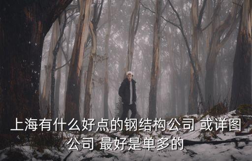 上海有什么好點的鋼結構公司 或詳圖公司 最好是單多的