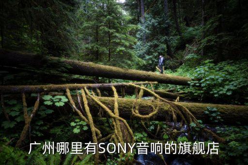 廣州哪里有SONY音響的旗艦店