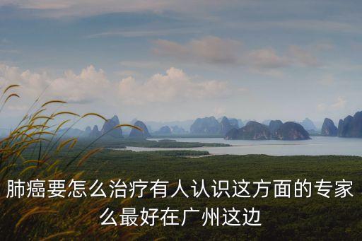 肺癌要怎么治療有人認(rèn)識(shí)這方面的專家么最好在廣州這邊