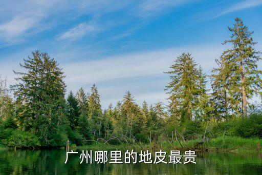 廣州最貴6萬地皮，廣州哪里的地皮最貴