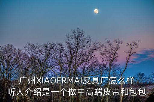廣州XIAOERMAI皮具廠怎么樣聽人介紹是一個做中高端皮帶和包包