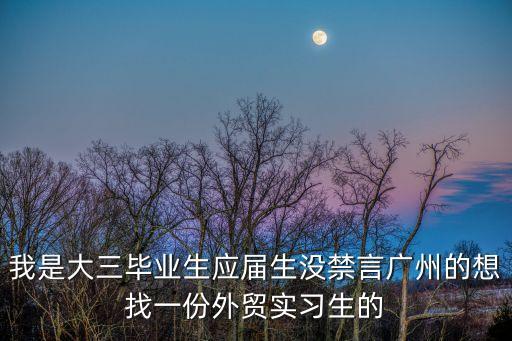 我是大三畢業(yè)生應(yīng)屆生沒禁言廣州的想找一份外貿(mào)實習生的