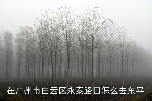 在廣州市白云區永泰路口怎么去東平
