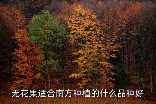 無花果適合南方種植的什么品種好