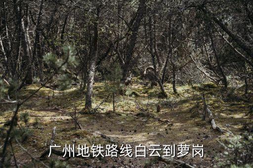廣州到蘿崗地鐵規(guī)劃，廣州地鐵路線白云到蘿崗