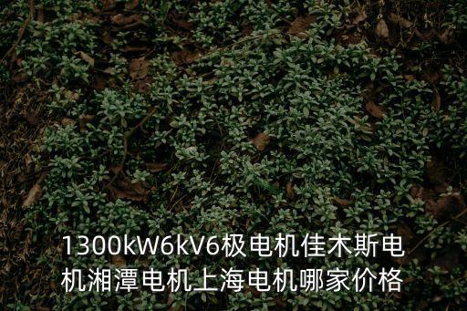 1300kW6kV6極電機佳木斯電機湘潭電機上海電機哪家價格