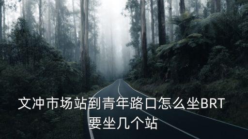 文沖市場站到青年路口怎么坐BRT 要坐幾個站