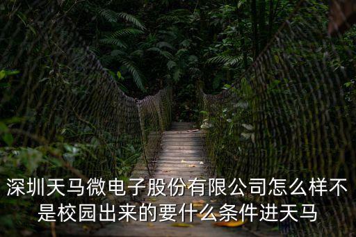 深圳天馬微電子股份有限公司怎么樣不是校園出來的要什么條件進天馬