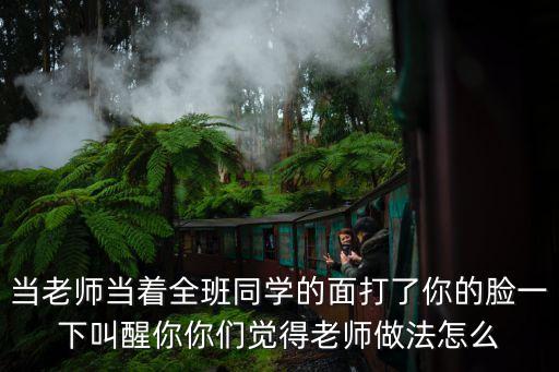 當老師當著全班同學的面打了你的臉一下叫醒你你們覺得老師做法怎么