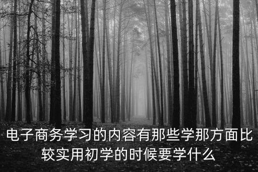電子商務學習的內容有那些學那方面比較實用初學的時候要學什么