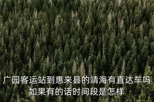 廣園客運站到惠來縣的靖海有直達車嗎如果有的話時間段是怎樣