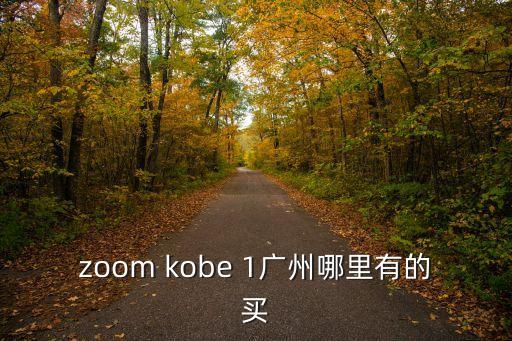 zoom kobe 1廣州哪里有的買