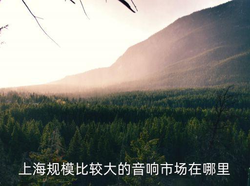 上海市最大音響城地址，上海規(guī)模比較大的音響市場在哪里